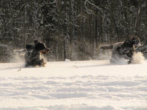 IMG_1860.JPG