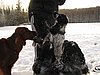 IMG_1823.JPG