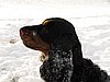 IMG_1826.JPG