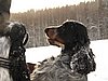 IMG_1828.JPG