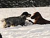 IMG_1840.JPG