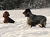 IMG_1842.JPG