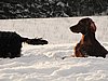 IMG_1846.JPG
