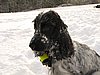 IMG_1850.JPG