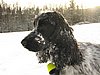 IMG_1851.JPG