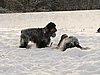 IMG_1866.JPG