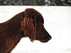 IMG_1868.JPG