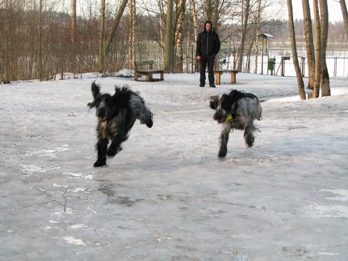 IMG_2279.JPG