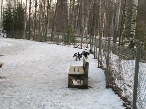 IMG_2288.JPG