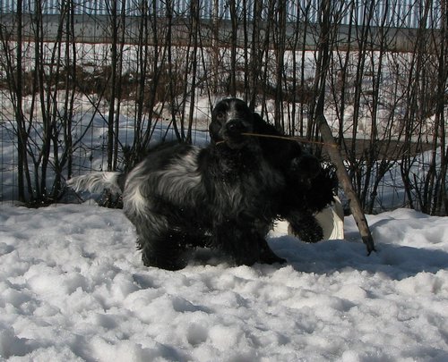 IMG_2316.JPG