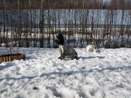 IMG_2320.JPG
