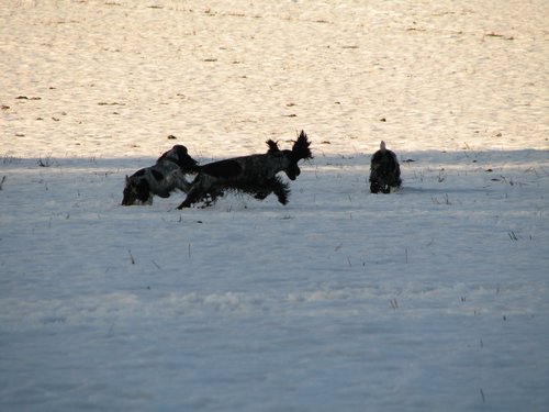 IMG_2344.JPG