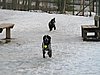 IMG_2295.JPG