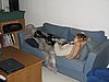 IMG_2300.JPG