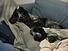 IMG_2310.JPG