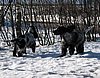 IMG_2313.JPG