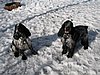 IMG_2324.JPG