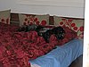 IMG_2332.JPG