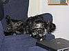IMG_2334.JPG