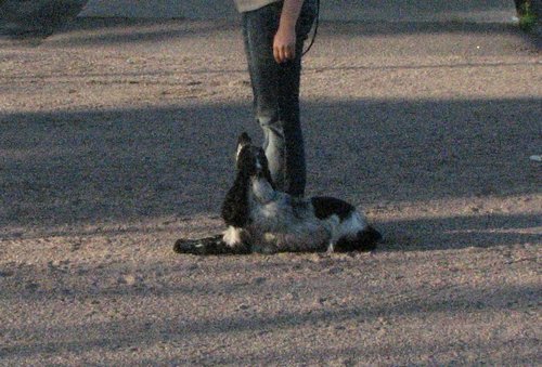 IMG_5565.JPG
