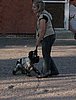 IMG_5567.JPG