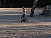 IMG_5581.JPG