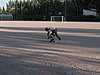 IMG_5584.JPG