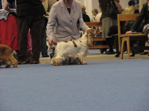 IMG_6685.JPG