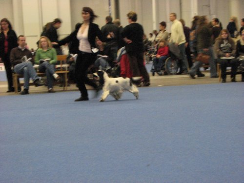 IMG_6687.JPG
