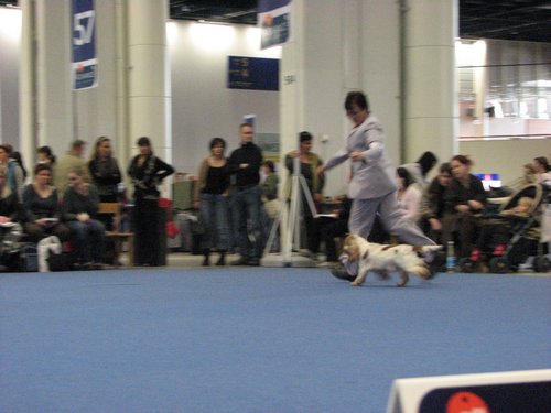 IMG_6697.JPG