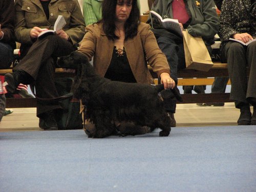IMG_6714.JPG