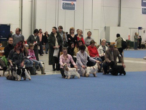 IMG_6773.JPG