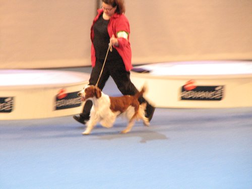 IMG_6869.JPG