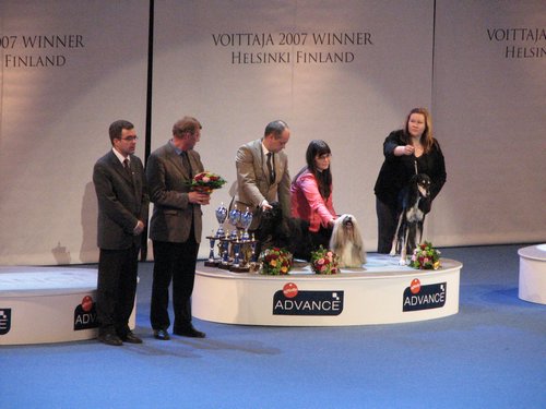 IMG_6913.JPG