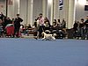 IMG_6694.JPG