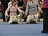 IMG_6703.JPG