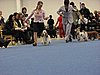 IMG_6704.JPG