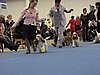IMG_6705.JPG