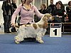 IMG_6710.JPG
