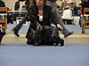 IMG_6716.JPG