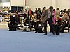 IMG_6723.JPG
