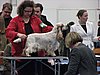 IMG_6740.JPG