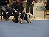 IMG_6751.JPG
