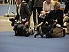IMG_6760.JPG