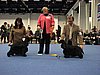 IMG_6785.JPG