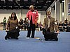 IMG_6787.JPG