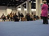 IMG_6791.JPG