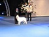 IMG_6835.JPG