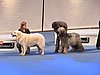 IMG_6836.JPG