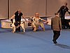 IMG_6851.JPG